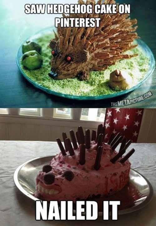 Do It Yourself (DIY) Failure: Hedgehog Cake
